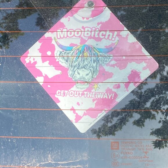 Meet your Posher, The80's - Picture 11 of 14